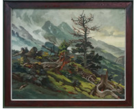 Horský polom - Tatry - Velký formát