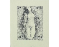 Ex libris - 2 kusy