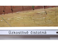 Úzkostlivě čistotná - Velký formát