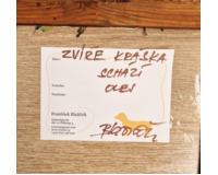 Zvíře, kráska schází